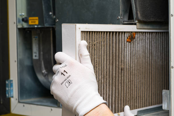Best Air Duct Cleaning Near Me  in Ludlow, KY