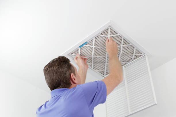 Best Local Air Duct Cleaning Services  in Ludlow, KY